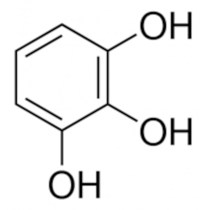 PYROGALLOL HPLC >98% P0381 - 100G