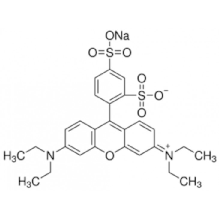 SULFORHODAMINE B SODIQUE SIGMA S1402 - 1G