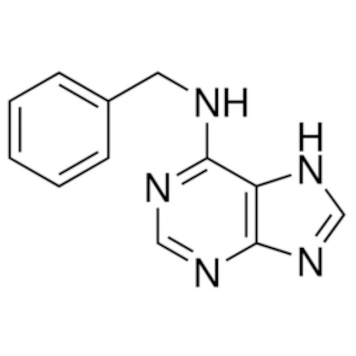 6-BENZYLAMINOPURINE SIGMA B3408 - 25G