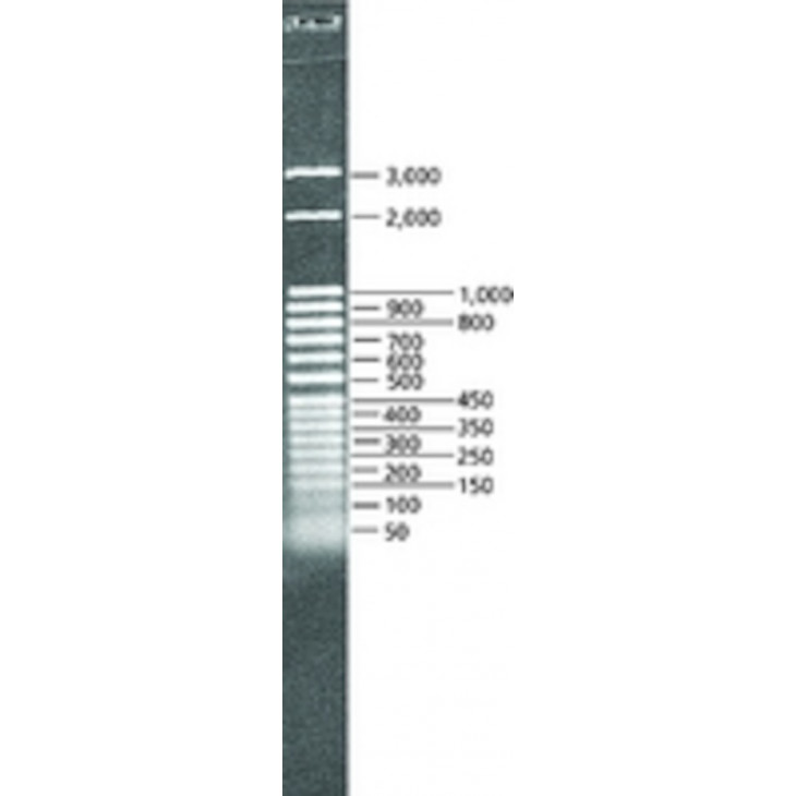 DIRECT LOAD 50 BP DNA STEP LADDER SIGMA D3812 - 1VL