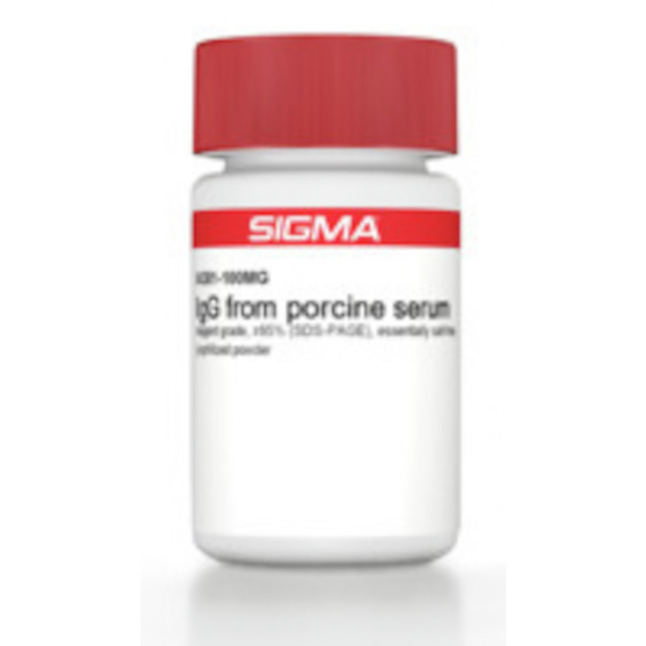 IGG DE SERUM PORCIN SIGMA - I4381 - 10MG