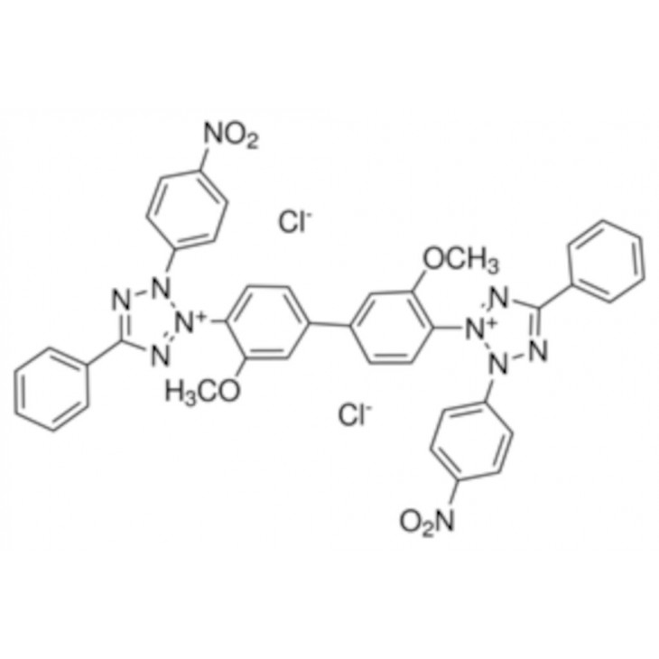 NITROTETRAZOLIUM CLORURE BLEU SIGMA N5514 - 10 TAB