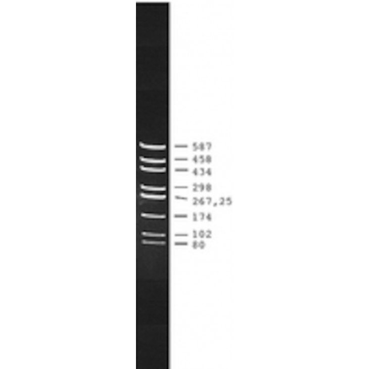 PUC18 DNA HAE III DIGEST SIGMA D6293 - 20UG