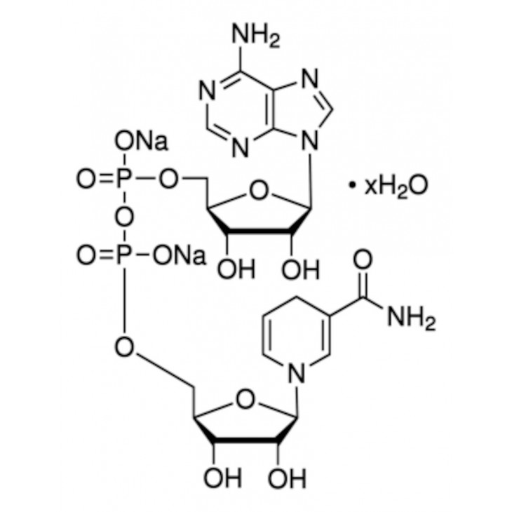 NPNH HPLC >97% SIGMA N8129 - 500MG