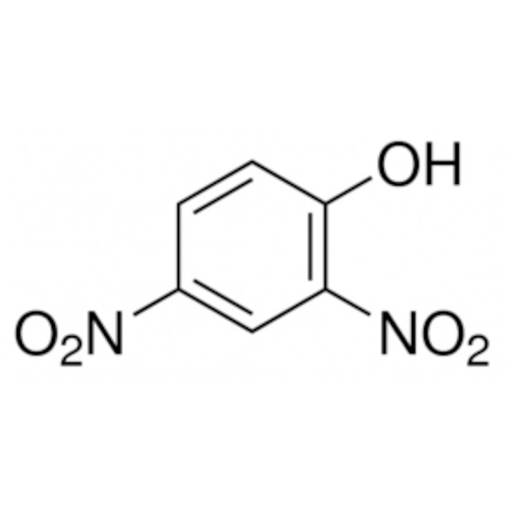 2,4 DINITROPHENOL 97% SIGMA D198501 - 5G