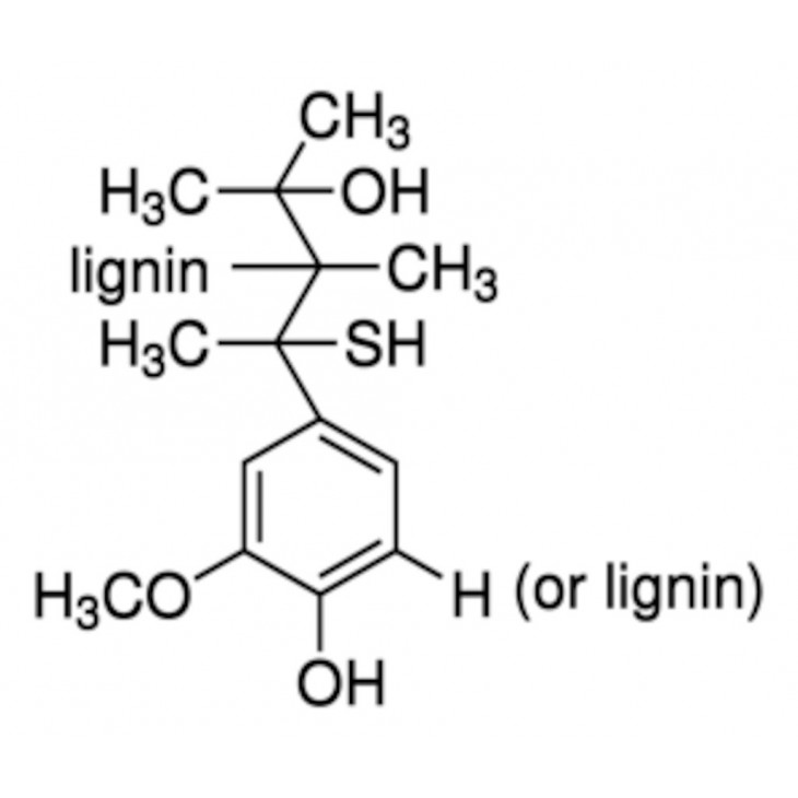 LIGNINE ALCALINE SIGMA 37095 - 100G