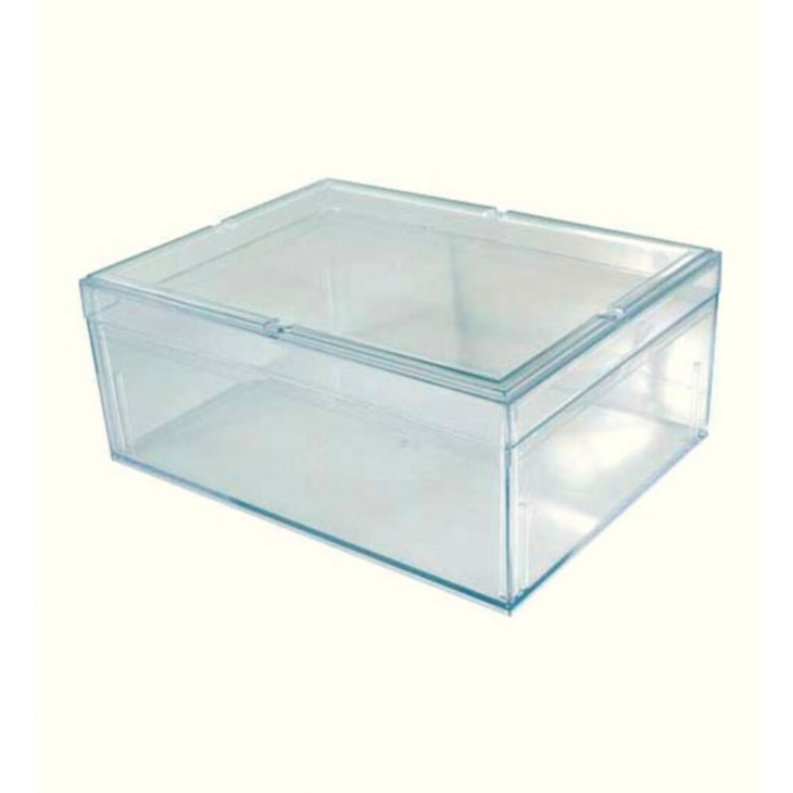 Boite plastique transparente pour rangement de collection. PJ6241