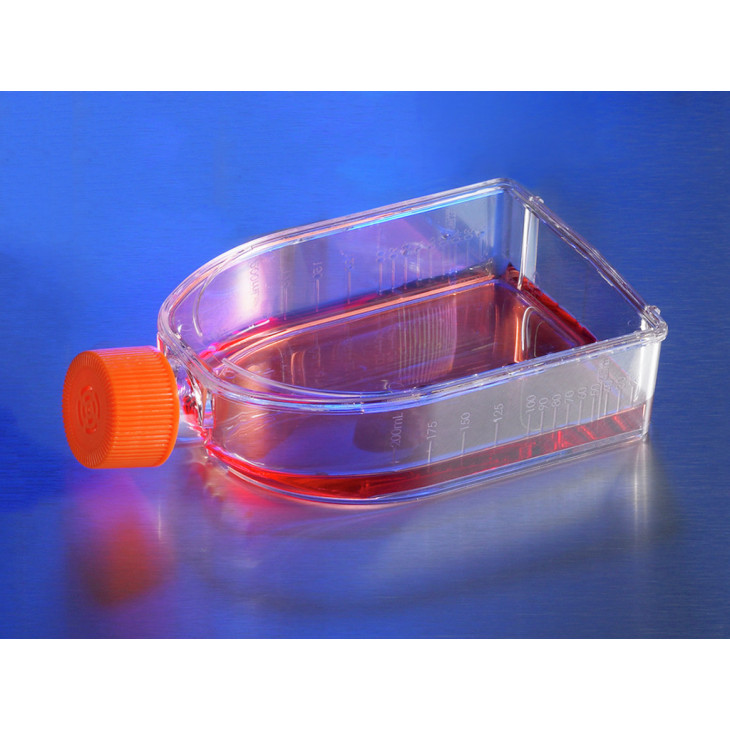 Boîte de culture cellulaire, traitée, stérile - LabMaterials by