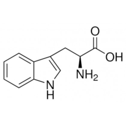 L-TRYPTOPHANE >98% SIGMA T0254 - 25G