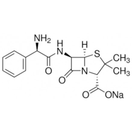 AMPICILLINE SODIQUE - SIGMA A0166 - 100G