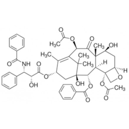 PACLITAXEL FROM TAXUS YANNA -NENSIS SIGMA T1912 - 1MG