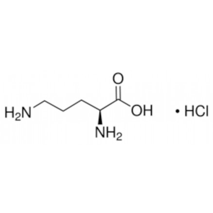 L-ORNITHINE MONOCHLORHYDRATE SIGMA - O2375 - 5G
