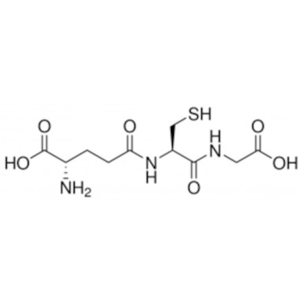 L-GLUTATHION REDUIT >98% SIGMA G4251 - 10G