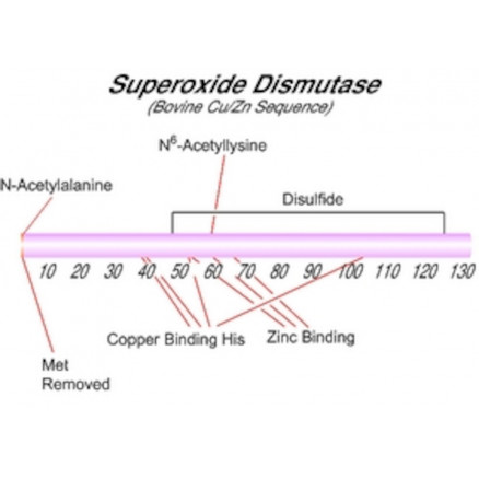 SUPEROXIDE DISMUTASE SIGMA S5395-15KU