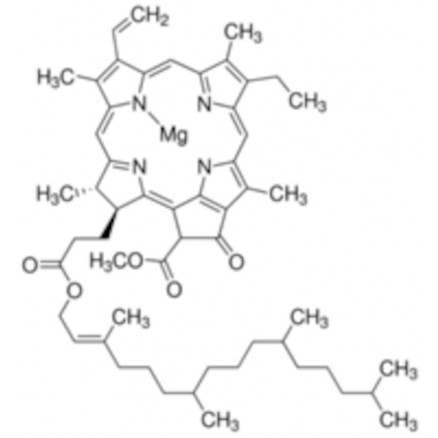 CHLOROPHYLLE A SIGMA C5753 - 1MG