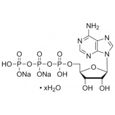 ATP DISSODIUM >99% HPLC SIGMA A6419 - 1G