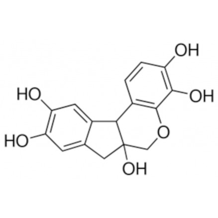 HEMATOXYLINE SIGMA H9627-25G