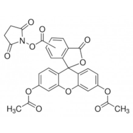 DIACETATE DE 5(6)-CARBOXYFLUO -RESCEINE SIGMA 21888 - 25MG