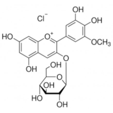 CHLORURE DE PETUNIDINE 3-0-B-D FLUKA 30638 - 10MG