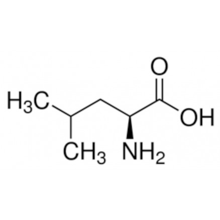 L-LEUCINE BIOULTRA >99,5% SIGMA 61819 - 100G