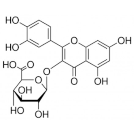 QUERCETIN 3-GLUCURONIDE FLUKA 90733 - 5MG