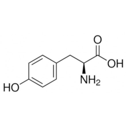 L-TYROSINE BIOULTRA >99,0% SIGMA 93829 - 25G
