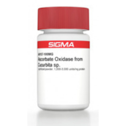 ASCORBATE OXYDASE SIGMA A0157-250UN