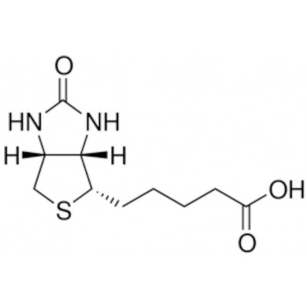 BIOTINE > 99% (HPLC) EN POUDRE LIOPHILISEE - B4501 - 500MG