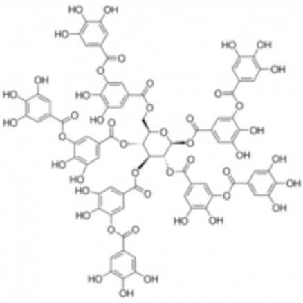 ACIDE TANNIQUE SIGMA - 403040 - 100G